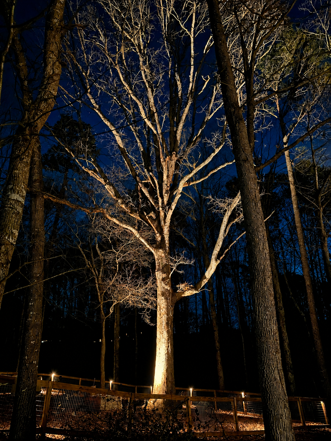 Eagle Series Adjustable 6-24W Integrated LED Landscape Spotlight | Solid Antique Brass 12V Uplight