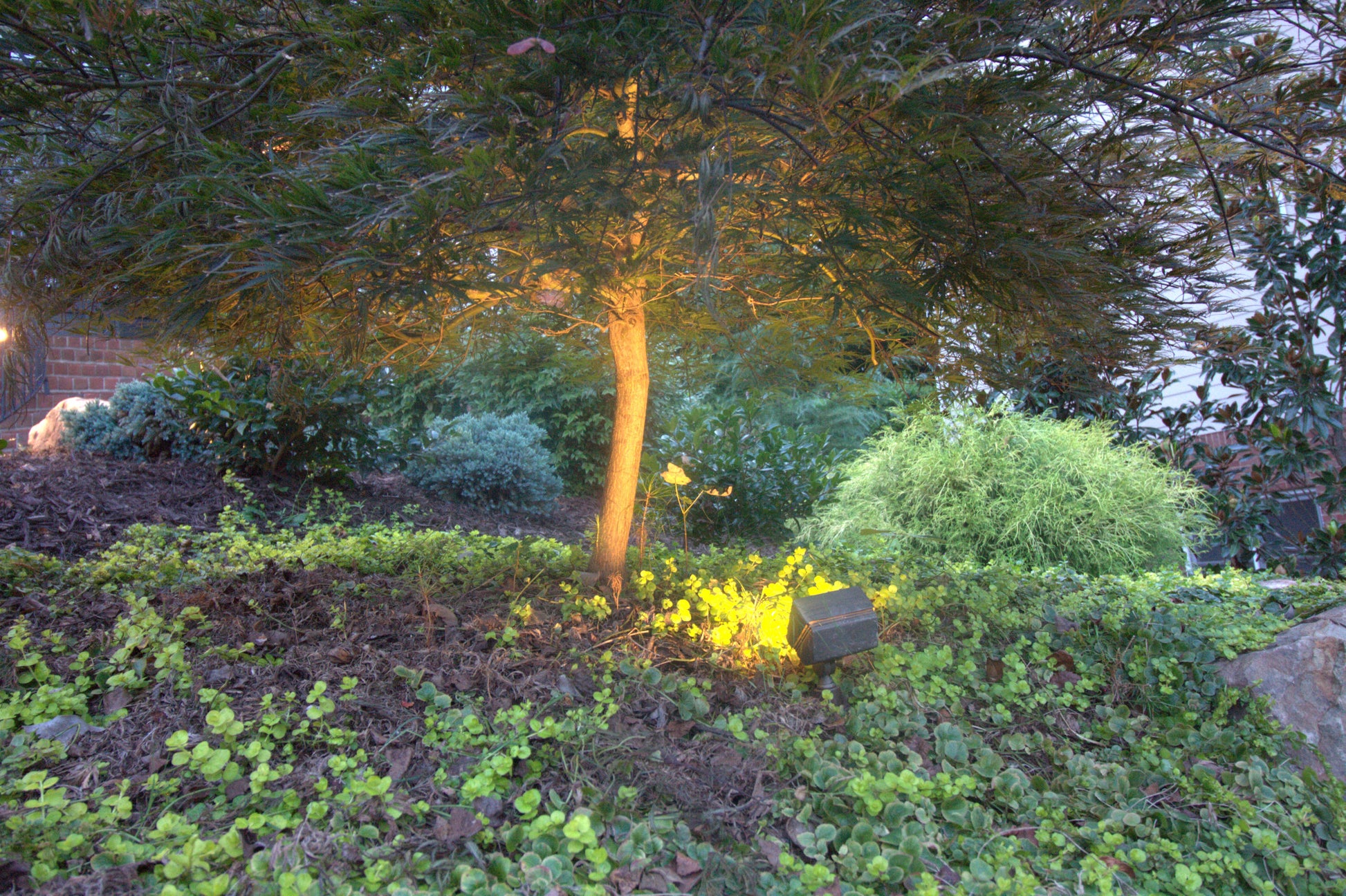 Custom backyard landscape lighting sold to contractors by Adino Lighting in Atlanta, Georgia