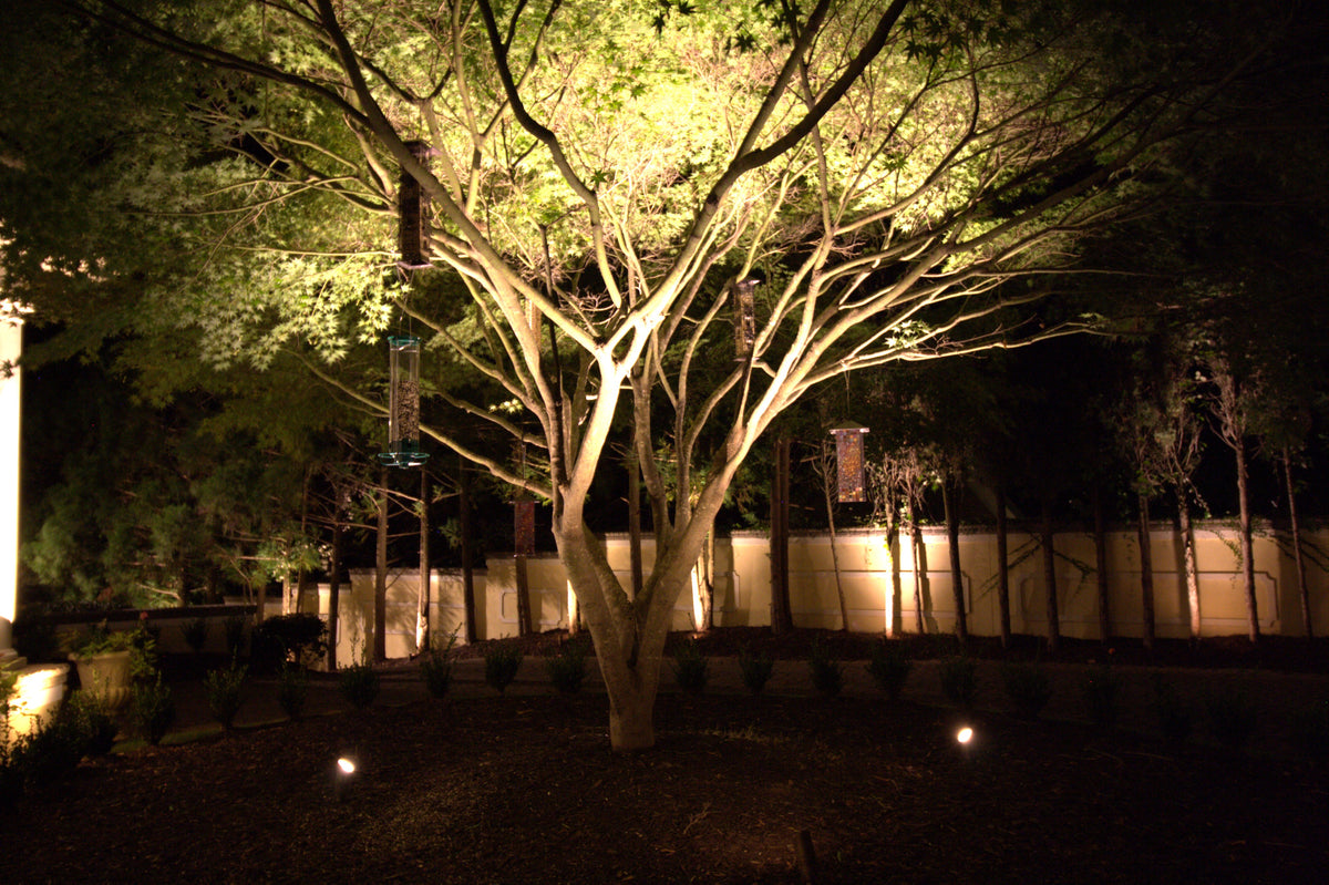 Adjustable 2-12W Integrated LED Landscape Spotlight | Solid Antique Brass 12V Uplight