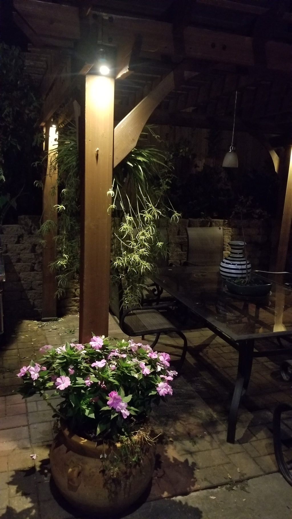 Premium Outdoor Living Area Wall Light