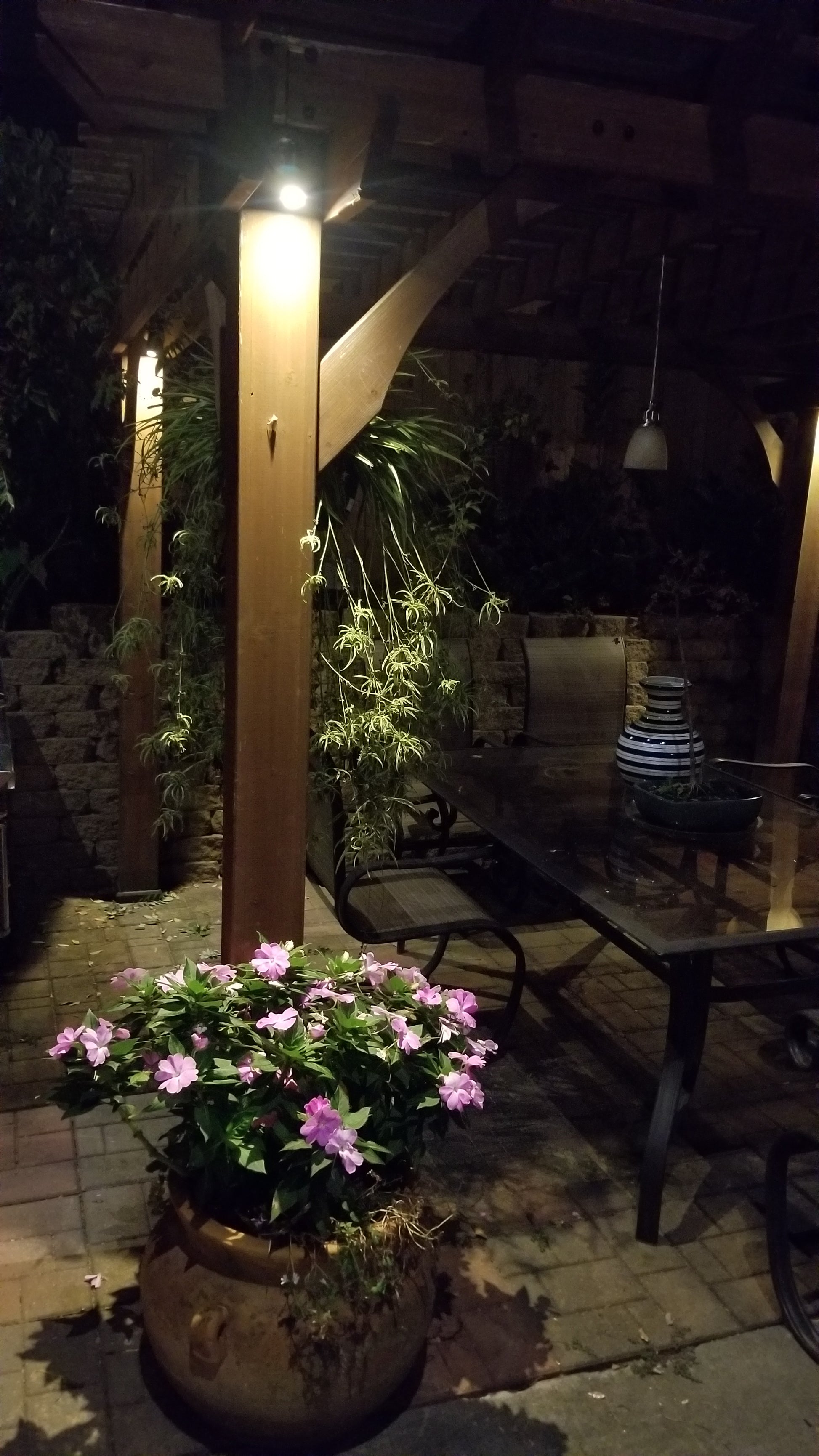 Premium Outdoor Living Area Wall Light