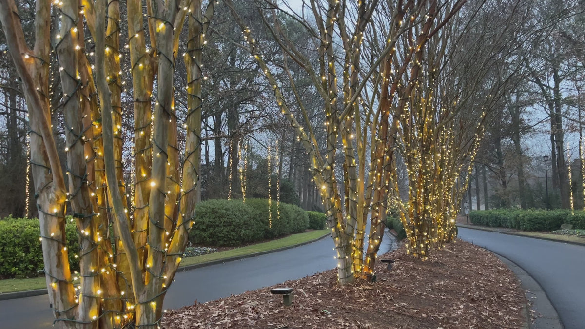 LED Breathing and Twinkling String Lights | 100 Warm White LEDs – 30 Ft Connectable Strand