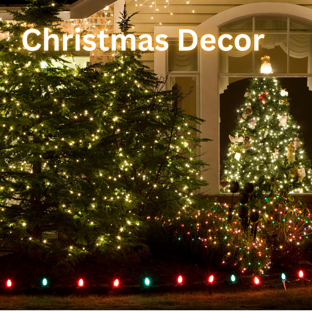Mini Holiday Warm White Accent Lights - 10 boxes (case)